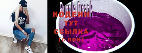 гашик Сосновка