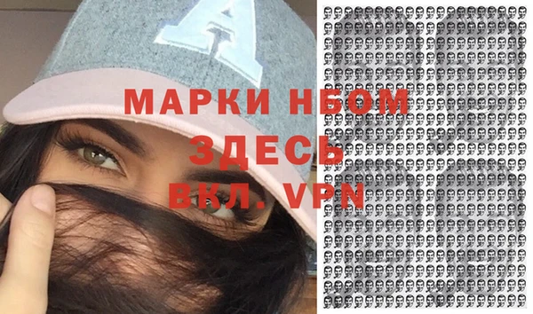 гашик Сосновка