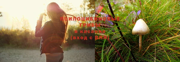 СК Богородицк
